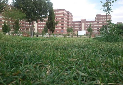 عکس بوستان گلستان (پارک شقایق)