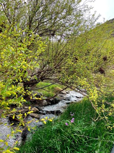 عکس منطقه گردشگری دره گردو اراک