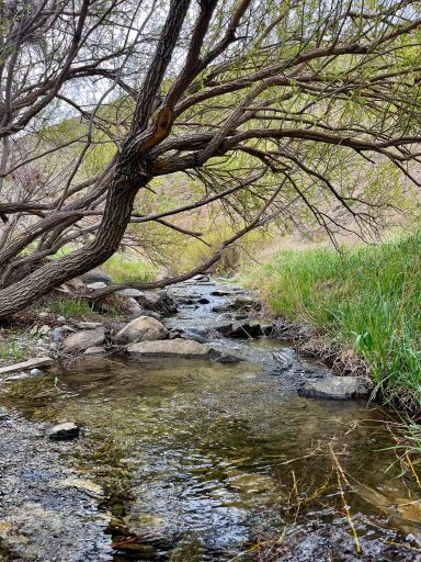 عکس منطقه گردشگری دره گردو اراک
