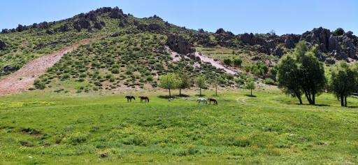 عکس بانه وره