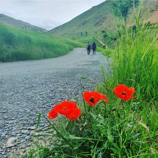 منطقه گردشگری دره گردو اراک