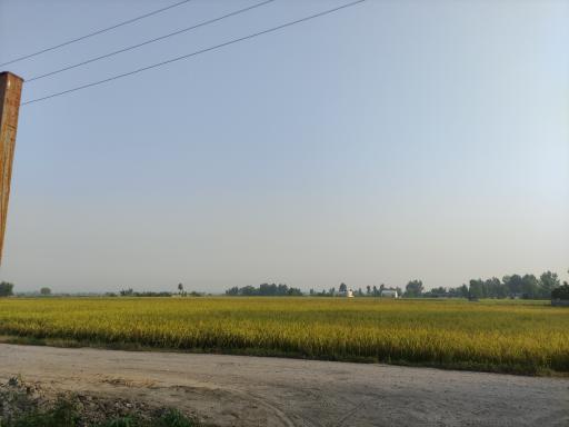 عکس سیاه لش