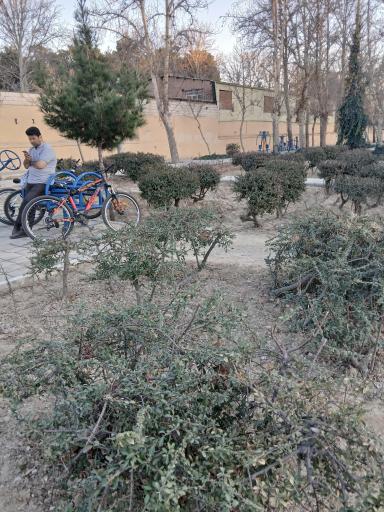 عکس پارک میرال