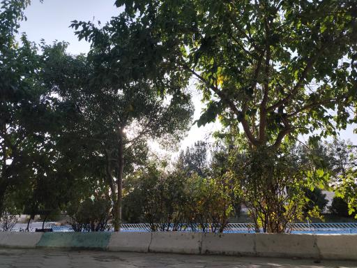 عکس پارک بانوان آفرینش