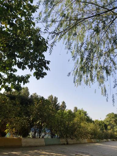 عکس پارک بانوان آفرینش