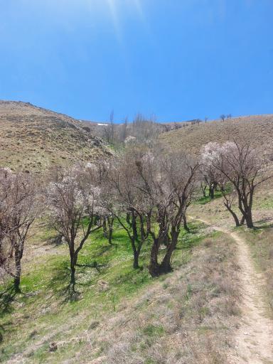 عکس منطقه گردشگری دره گردو اراک