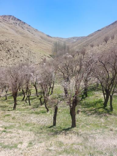 عکس منطقه گردشگری دره گردو اراک