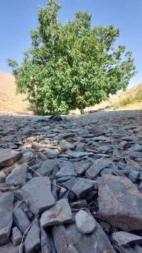 عکس منطقه گردشگری دره گردو اراک