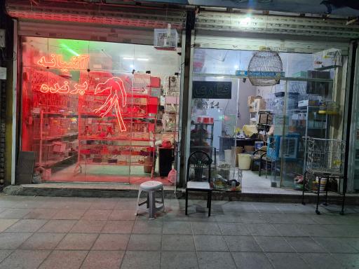 عکس پرنده سرای برادران