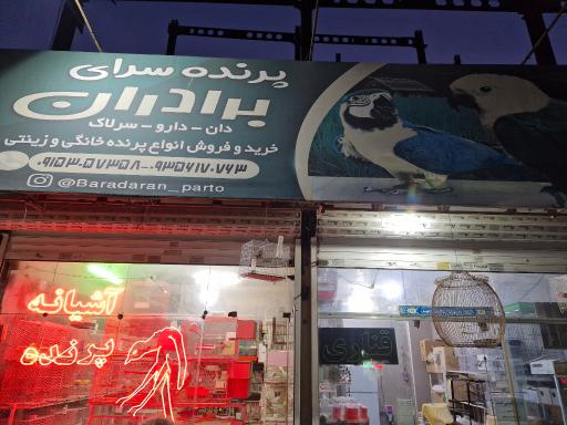عکس پرنده سرای برادران