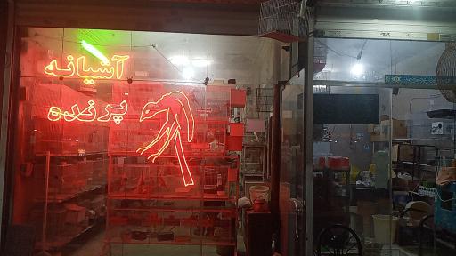 عکس پرنده سرای برادران