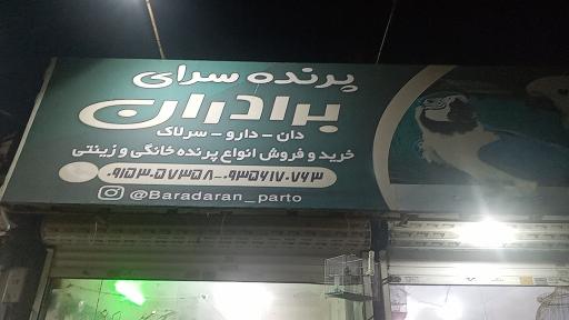 عکس پرنده سرای برادران