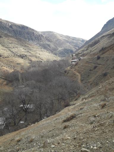 عکس وامکوه