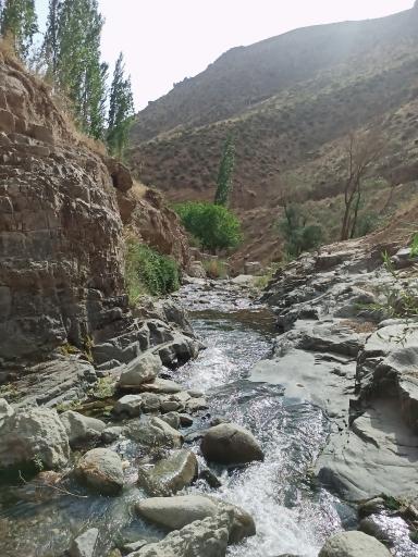 عکس وامکوه