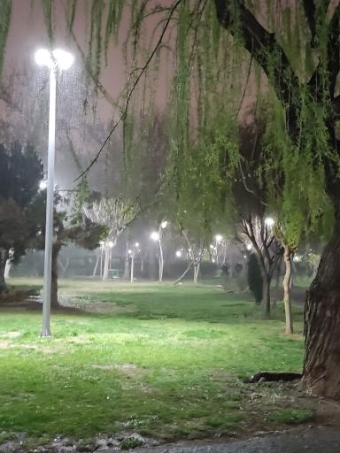 عکس باغ ژاپنی پارک لاله