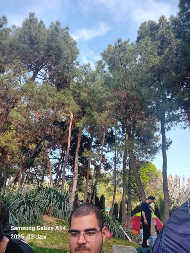 عکس باغ ژاپنی پارک لاله