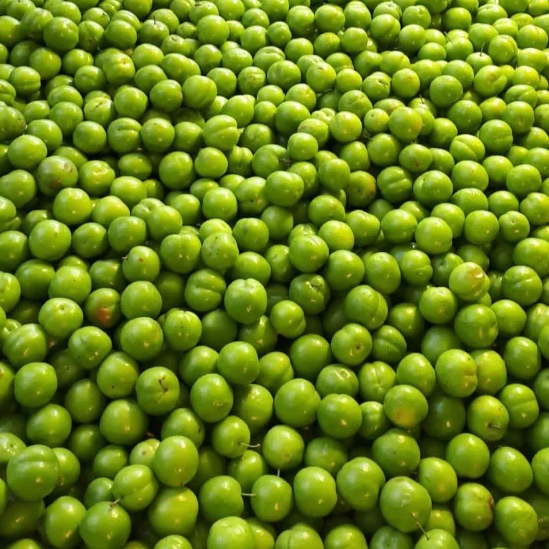 عکس میوه فروشی آلبالو گیلاس