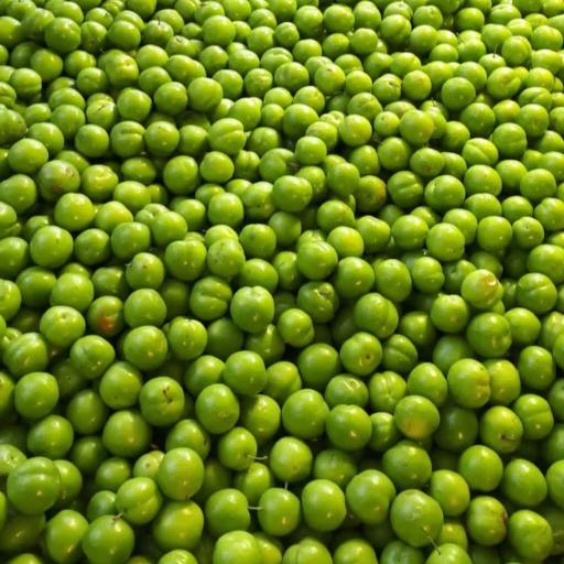 عکس میوه فروشی آلبالو گیلاس