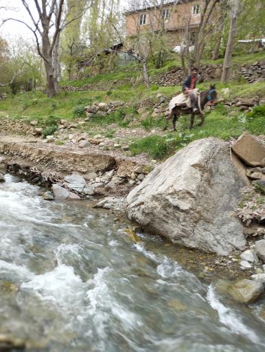 عکس وامکوه