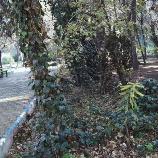 مجموعه تفریحی ورزشی مهربانو کاشان