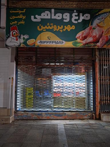 عکس مرغ و ماهی مهر پروتئین 