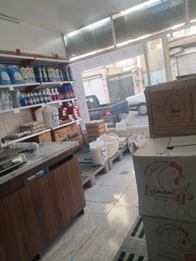 عکس پخش تخم مرغ ثامن