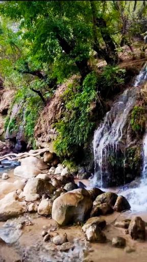 عکس تفرجگاه بنسپر