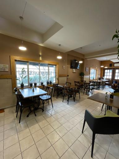 عکس فست فود پاچینو