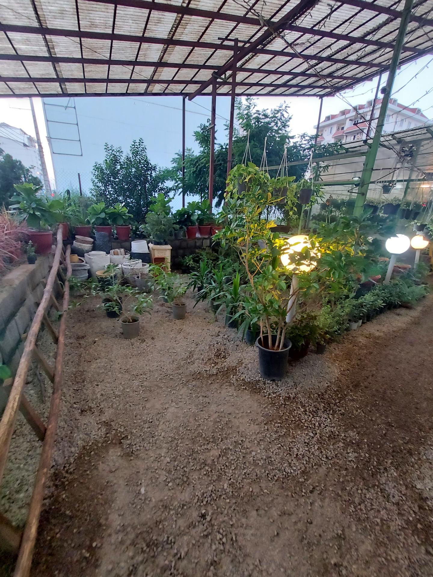 عکس گلفروشی