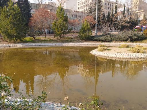 عکس بوستان تولد