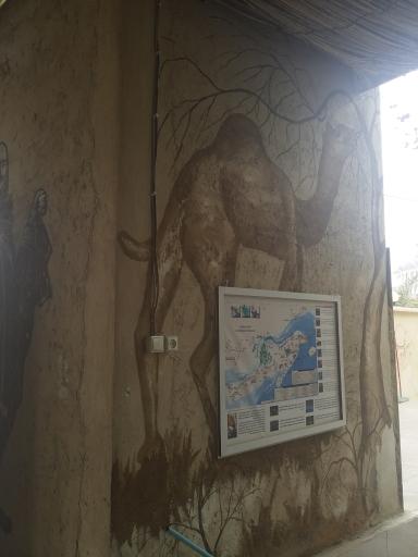 عکس اقامتگاه بومگردی حسینی سهیلی