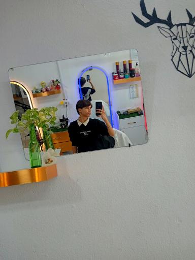 عکس پیرایش زاوا 