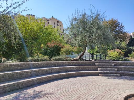 عکس بوستان تولد