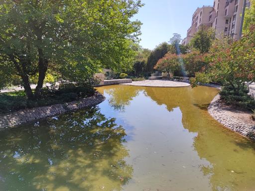 عکس بوستان تولد