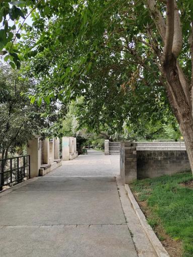 عکس بوستان تولد