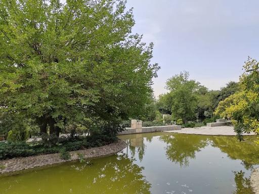 عکس بوستان تولد