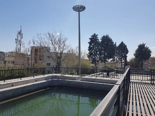 عکس بوستان تولد