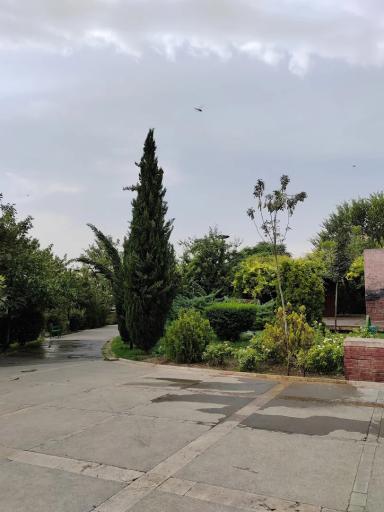 عکس بوستان تولد