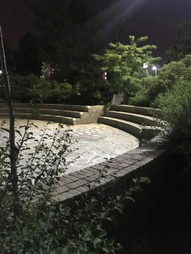عکس بوستان تولد