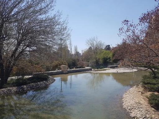 عکس بوستان تولد