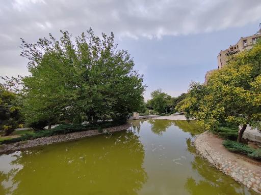 عکس بوستان تولد