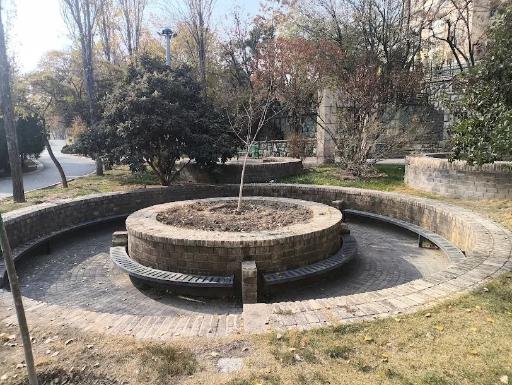 عکس بوستان تولد