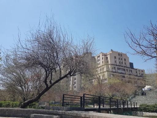 عکس بوستان تولد