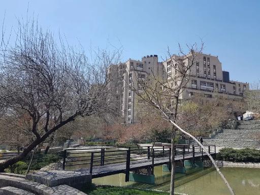 عکس بوستان تولد