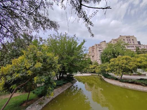 عکس بوستان تولد