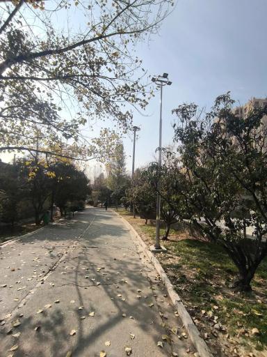 عکس بوستان تولد