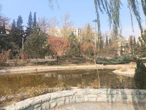 عکس بوستان تولد