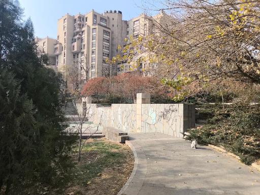 عکس بوستان تولد