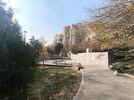 عکس بوستان تولد