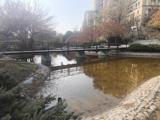 عکس بوستان تولد